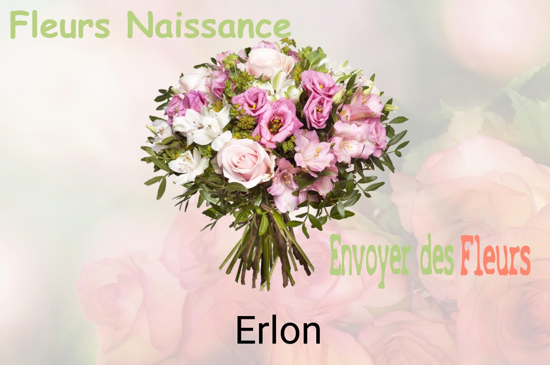 Bouquet de fleurs de naissance livré à Erlon
