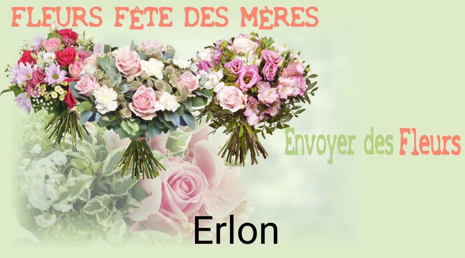 Bouquet de Fête des Mères livré à Erlon